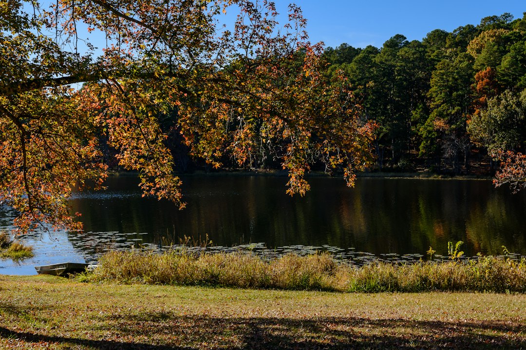 Autumn color reflected in the lake at Daingerfield State Park, Texas